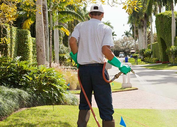 About Franklinton NC Pest Control